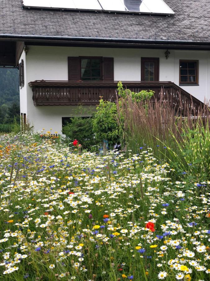 Ferienwohnung Lassendorf هيرماجور المظهر الخارجي الصورة